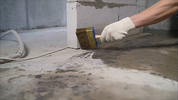 SJ Waterproofing Pros Waterproofing coverage map for Portage, MI and surrounding area